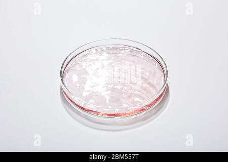 Vue en grand angle de la verrerie de laboratoire avec liquide sur fond gris Banque D'Images