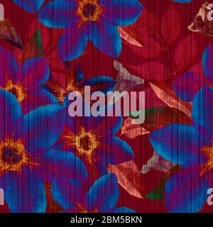 Motif sans couture de fleurs de clématis lilas avec feuilles rouges et bleues Banque D'Images