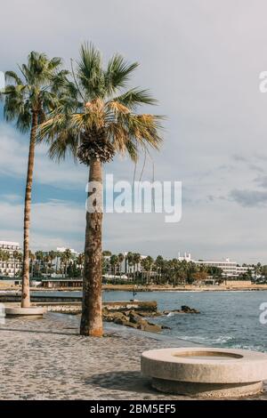 lumière du soleil sur les tees de palmier vert près de la mer contre le ciel bleu avec des nuages Banque D'Images