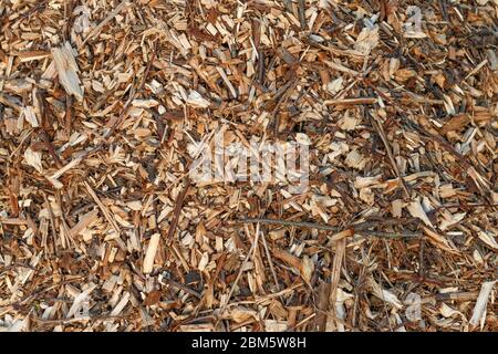 pile de petits morceaux de bois séchés et fond de copeaux Banque D'Images