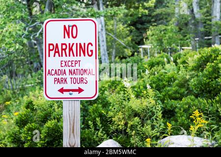 Un panneau de signalisation no parking excepté pour les autobus est sur le côté de la route dans le parc national Acadia Maine parce que des milliers de touristes affluent vers le parc dans le Banque D'Images