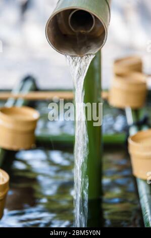 Les louches de bambou dans un 'Temizuya ou Chozuya' (pavillons d'ablutions traditionnels trouvés dans les sanctuaires de Shinto), Banque D'Images