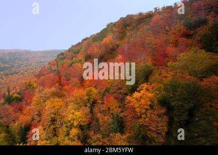 Les couleurs de l'automne près du canyon d'Agawa, Canada Banque D'Images