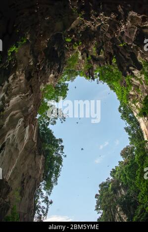 Les grottes de Batu, Selangor, Malaisie. Vue sur la lucarne naturelle et les falaises de calcaire depuis l'intérieur du bâtiment du temple Banque D'Images