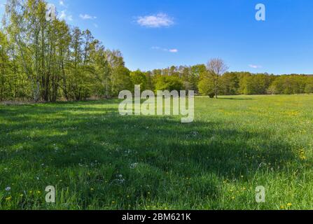 Langenherbau, Allemagne. 06e mai 2020. Un pré dans la zone européenne protégée Höllberge au sud de Luckau. La zone de la FFH de la Höllberge est une zone européenne spéciale protégée en matière de conservation de la nature et du paysage, désignée conformément à la directive faune-flore-habitat. Credit: Patrick Pleul/dpa-Zentralbild/ZB/dpa/Alay Live News Banque D'Images