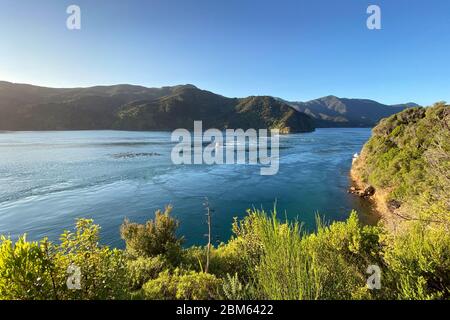 La French Pass, Marlborough, Nouvelle-Zélande Banque D'Images