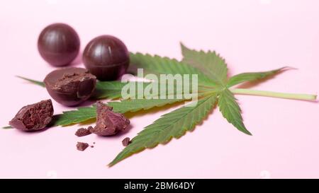 Bonbons au chocolat avec teneur en THC sur fond rose. Nourriture de marijuana, drogues molles récréatives. Banque D'Images