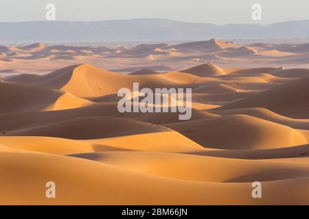 Sanddünen, Erg Chigaga, Sahara, Marokko Banque D'Images