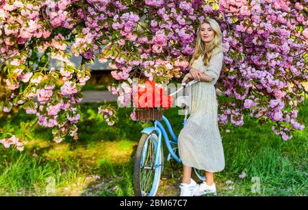 Fille décontracté robe rétro croiseur vélo sakura arbre. Vacances de printemps. Concept de tourisme. Transport et voyages. Saison Sakura. Flore et botanique. Femme avec bouquet de tulipes. Fleurs d'arbre Sakura. Banque D'Images