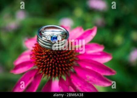 Anneaux de mariage reposant sur une fleur en cône violet Banque D'Images