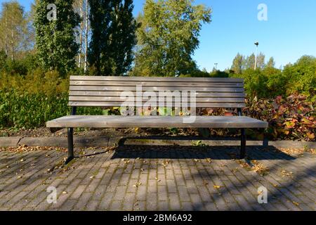 Portrait d'un ancien banc en bois avec de grands arbres verts dans le parc Banque D'Images