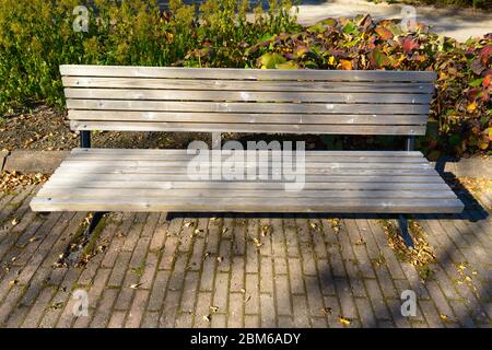 Portrait d'un ancien banc en bois avec de grands arbres verts dans le parc Banque D'Images