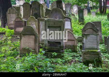 Pierres à tête au cimetière juif de Tarnow, dans la région de Malopolska aka Lesse Pologne, Pologne Banque D'Images