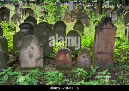 Pierres à tête au cimetière juif de Tarnow, dans la région de Malopolska aka Lesse Pologne, Pologne Banque D'Images