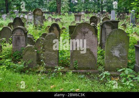 Pierres à tête au cimetière juif de Tarnow, dans la région de Malopolska aka Lesse Pologne, Pologne Banque D'Images