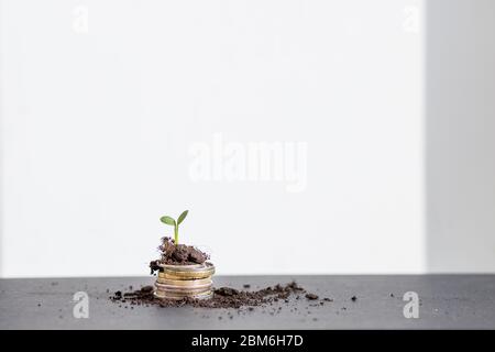 Les semis sont en croissance sur des pièces qui sont empilées sur sol fertile.pile de pièces en croissance et de trouver la manière d'obtenir un retour sur investissement. Finances et Banque D'Images