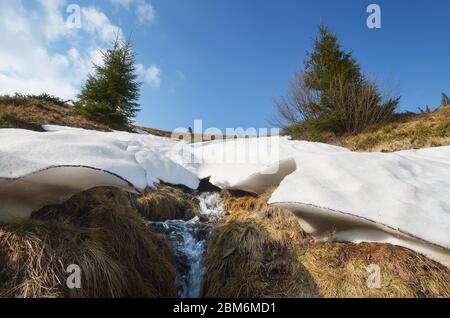 Paysage de printemps avec une crique. La neige fond dans les montagnes Banque D'Images