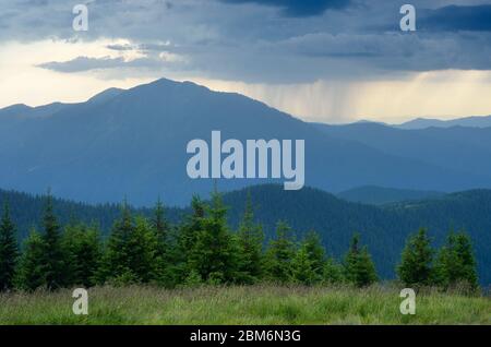 Paysage de montagne. Ciel orageux et pluie. Forêt d'épicéa sur les pentes des montagnes. Karpaty, Ukraine, Europe Banque D'Images