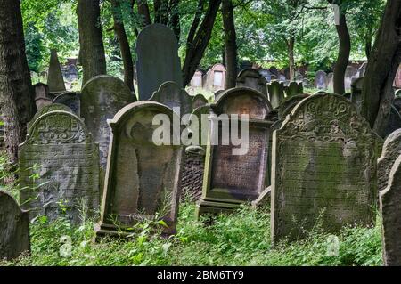 Pierres à tête au cimetière juif de Tarnow, dans la région de Malopolska aka Lesse Pologne, Pologne Banque D'Images