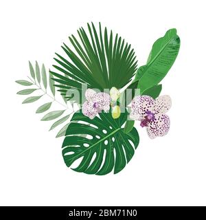 Bannière de feuilles tropicales avec feuilles tropicales et fleurs d'orchidées en arrière-plan vectoriel Illustration de Vecteur