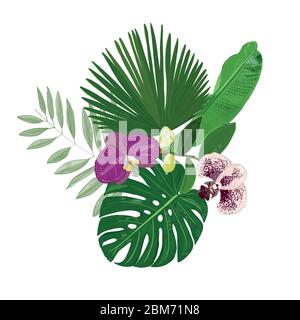 Bannière de feuilles tropicales avec feuilles tropicales et fond vectoriel de fleurs d'orchidées pourpres et blanches Illustration de Vecteur