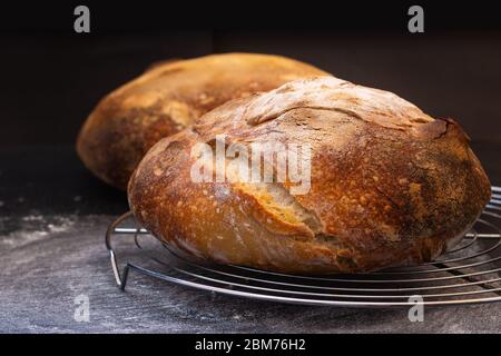 Ambiance sombre et ton maison cuisine maison biologique rustique Sourdough pain sur fond noir avec espace de copie Banque D'Images