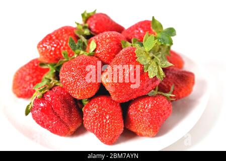 les grosses fraises rouges dans une plaque blanche sur fond blanc avec des gouttes d'eau sur les baies isolent la proximité Banque D'Images