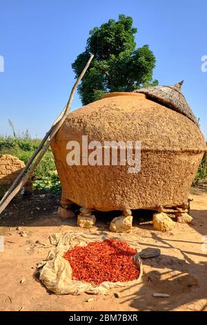 Les chilis rouges sont séchés au soleil près d'un grenier de boue dans un village éloigné. Banque D'Images