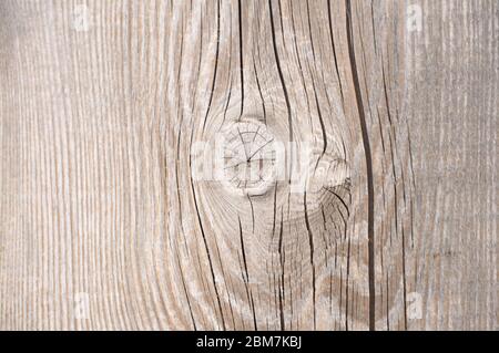 Nœud de bureau en bois. Bois texture bois de bois de grain de bois de fond.Knot sur un panneau gris Banque D'Images