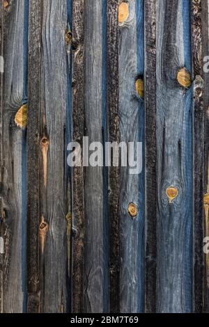 Détails en bois abîmés du panneau et de la cabane en bois de la chauve Robinson Khutic au centre de la nature de Blandford, Grand Rapids, Michigan, États-Unis Banque D'Images