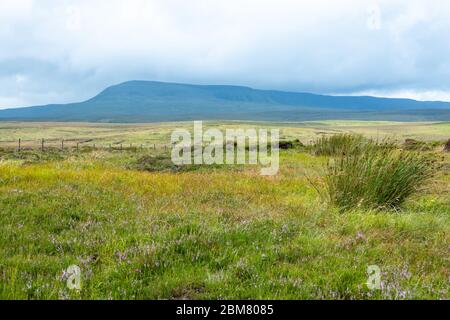 Vue imprenable sur les montagnes Cuilcagh et la tourbière en couverture, Co. Fermanagh, Irlande du Nord Banque D'Images