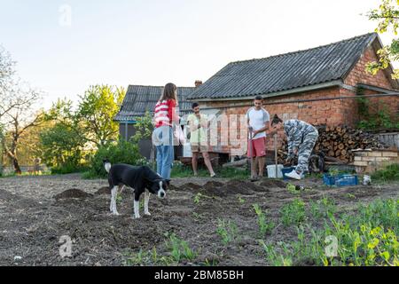 Petit chien noir regardant l'appareil photo, groupe de jeunes plantant quelque chose sur le fond Banque D'Images