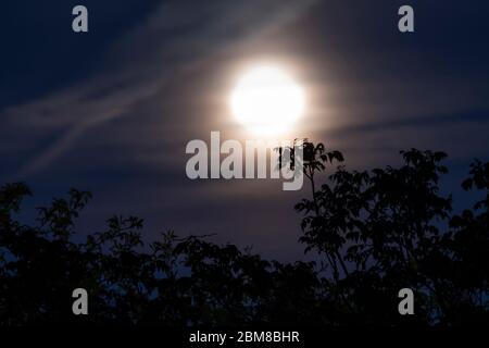 Wimbledon, Londres, Royaume-Uni. 7 mai 2020. Les arbres sont silhouettés par la pleine lune montante, brumeux en raison de nuages de haut niveau. Crédit: Malcolm Park/Alay Live News Banque D'Images