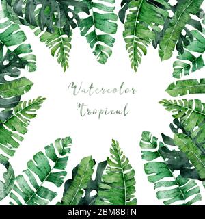 Set tropical à aquarelle dessiné à la main. Illustrations de feuilles exotiques, arbre de jungle, brésil branché. Parfait pour le tissu. Collection Aloha. Banque D'Images