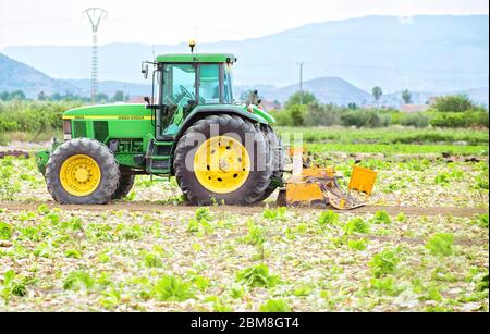 Murcia, Espagne, 7 mai 2020 : ouvrier agricole qui labourent ou labourent la terre. Préparation à la culture dans le domaine agricole. Traditionnel agricole Banque D'Images