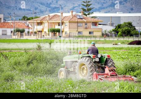 Un ouvrier agricole qui travaille sur un tracteur labourant ou labourant la terre. Préparation à la culture dans le domaine agricole. Agriculture traditionnelle en Espagne. Banque D'Images