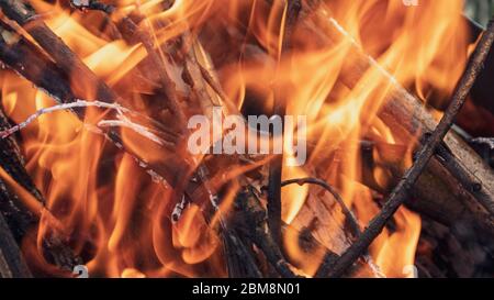 Feu de bois rouge orange chaud sur les branches brûlant de près. Flammes chaudes en plein écran Banque D'Images