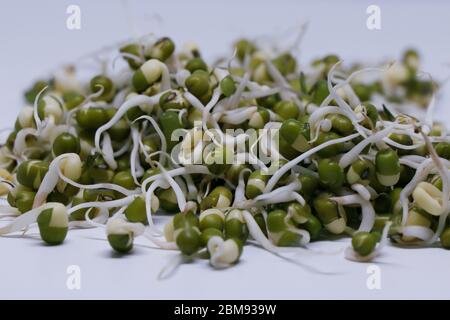 gramme vert germé isolé avec fond blanc Banque D'Images