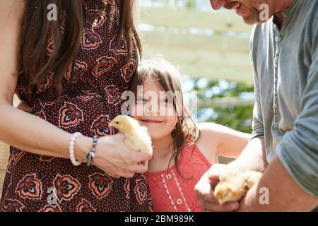 Une famille a du plaisir à examiner les nouveaux poussins qu'ils ont eu pour leur coup d'état de poulet de cour Banque D'Images