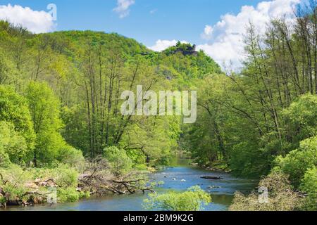 Hardegg: rivière Thaya, vue sur la ruine du château de Neuhäusl, Parc national de la rivière Thaya Thayatal - Podyji, à Weinviertel, Niederösterreich, Basse-Autriche, Aust Banque D'Images