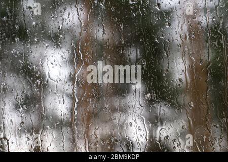 Les gouttes de pluie s'infiltre dans le verre. Arrière-plan de forêt flou. Mise au point sélective. Banque D'Images