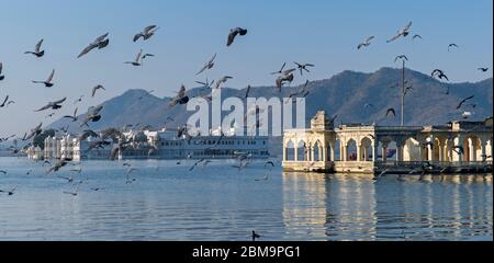 Mohan Mandir Et Lake Palace Lac Pichola Udaipur Rajasthan Inde Banque D'Images