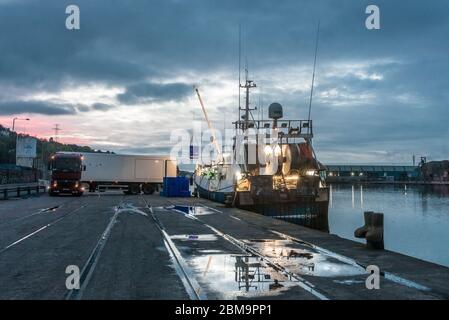 Cork, Cork, Irlande. 08e mai 2020. La chalutière Rose de Sharon déchargeait ses prises de corégone avant l'aube dans un conteneur à Horgan's Quay à Cork, en Irlande. Depuis le déclenchement de la pandémie Covid-19, les pêcheurs ont vu la vente de poisson chuter d'environ 60%, principalement en raison de la fermeture d'hôtels et de restaurants. - crédit; David Creedon / Alamy Live News Banque D'Images