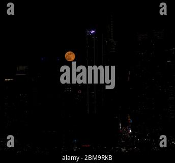 New York, États-Unis. 07th Mai 2020. La lune de fleurs Super se dresse au-dessus de Midtown Manhattan, vue depuis Weehawken du New Jersey. (Photo de Lev Radin/Pacific Press) crédit: Agence de presse du Pacifique/Alamy Live News Banque D'Images