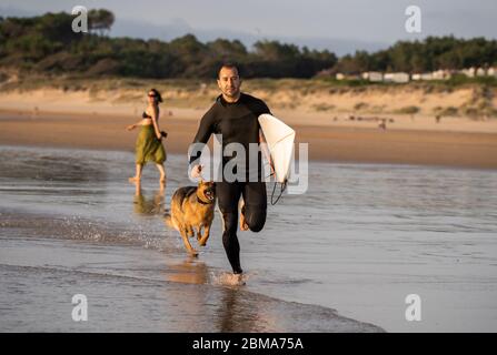 Surfeur s'amusant avec le meilleur ami berger allemand courant et jouer sur la plage pour chiens au coucher du soleil. Vacances d'été sur le surf avec votre chien, animal de compagnie Banque D'Images