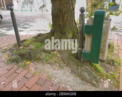 trashcan dans une fosse à arbres, Allemagne, Rhénanie-du-Nord-Westphalie Banque D'Images