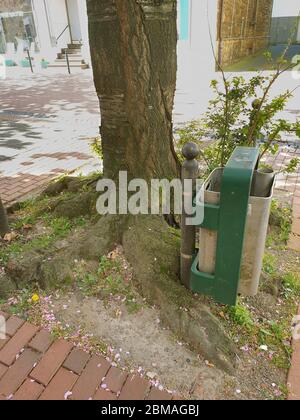 trashcan dans une fosse à arbres, Allemagne, Rhénanie-du-Nord-Westphalie Banque D'Images