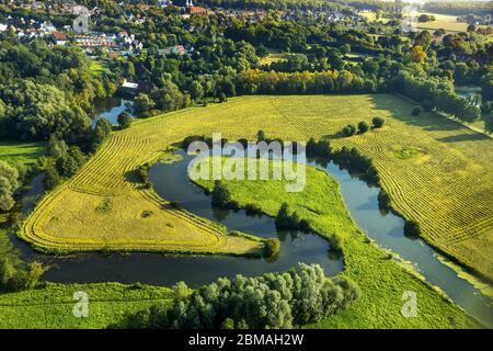 , billabong de la Lippe à Hamm, 23.08.2017, vue aérienne, Allemagne, Rhénanie-du-Nord-Westphalie, région de la Ruhr, Hamm Banque D'Images