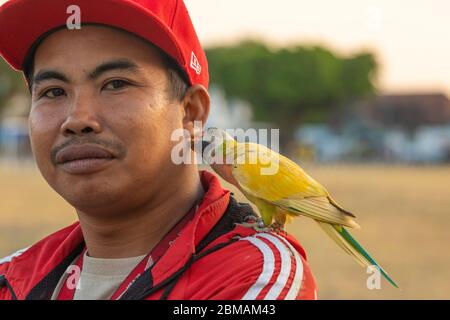 Yogyakarta, Indonésie - 16 juillet 2019 : un jeune garçon porte un oiseau de mer espiègle, sur l'esplanade Alun Alun Utara à Yogyakarta. Banque D'Images