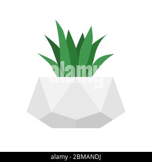 Fleur dans un pot en béton géométrique tendance. Plante succulente isolée par vecteur. Jardinage à la maison Illustration de Vecteur